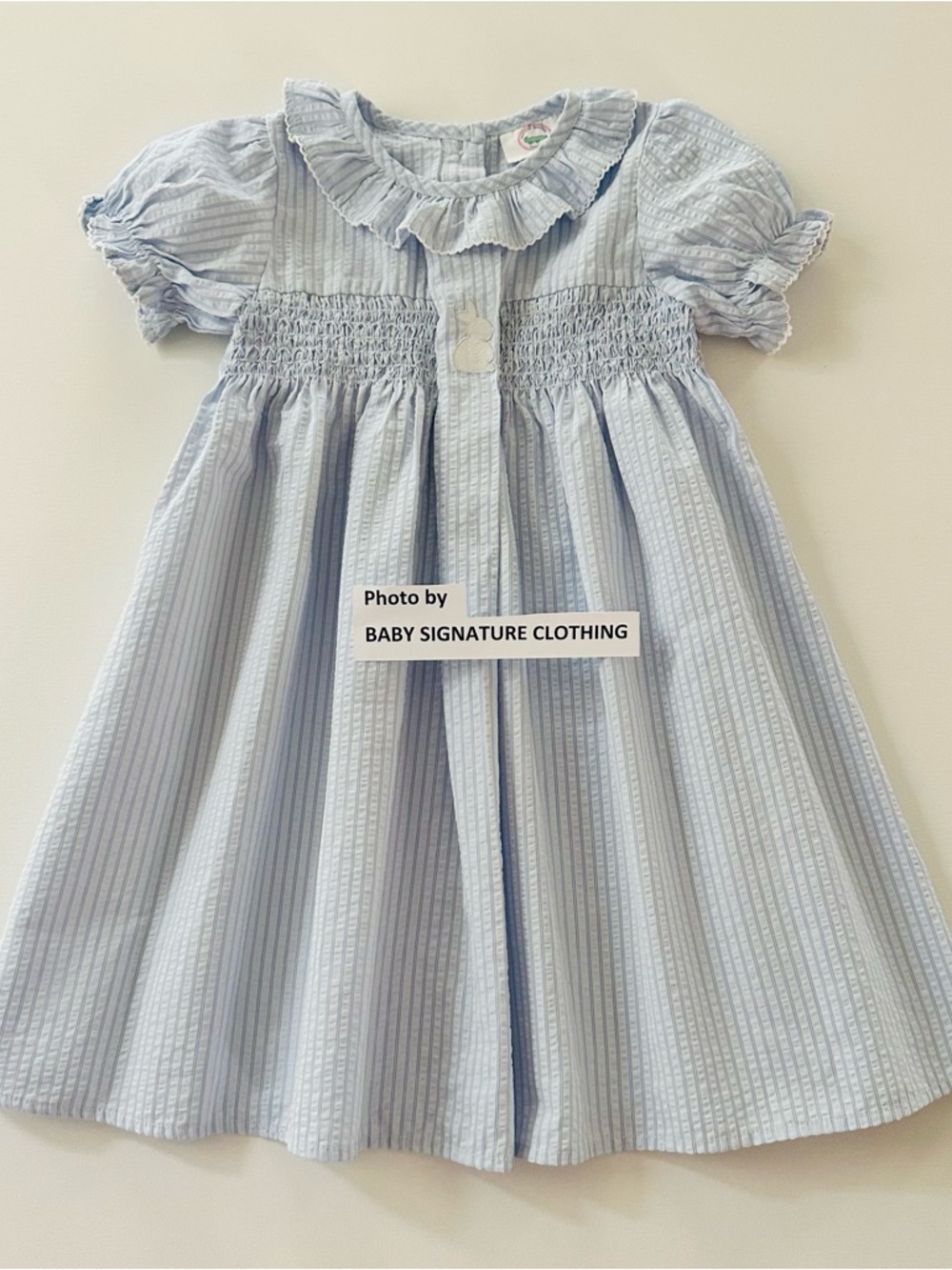Southern Smocked Co Girls 5 Light Blue Bunny Dress Ruffle Collar Spring